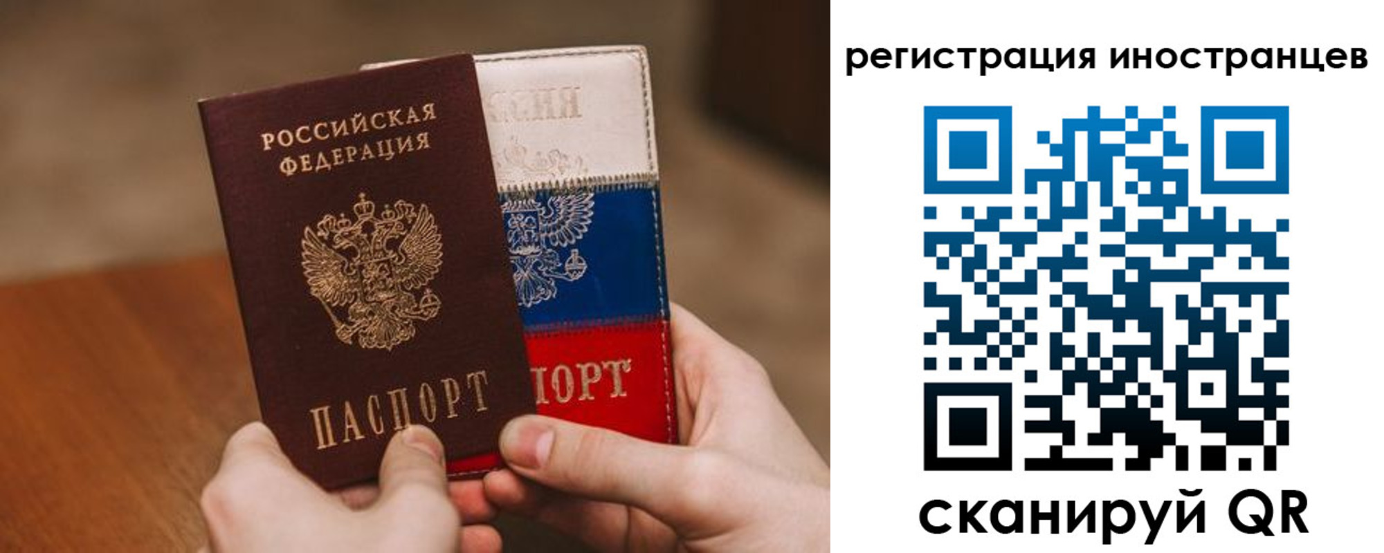 прописка поиск в Новосибирске